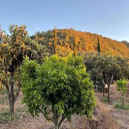 Private Pool Nature * Silves