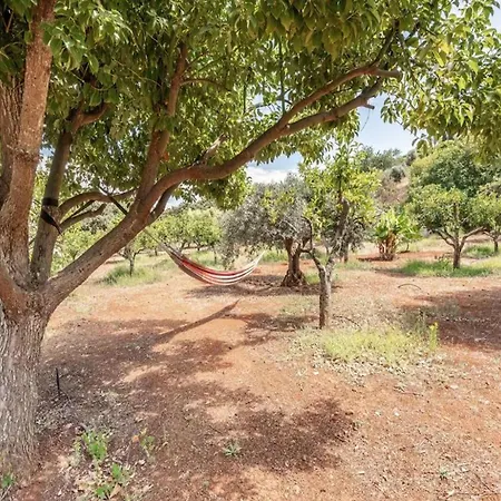 Private Pool Nature * Silves