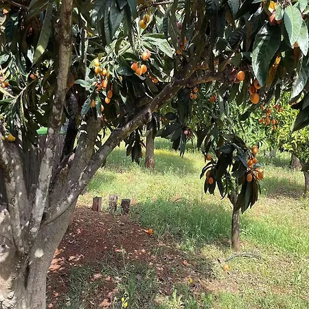 Private Pool Nature بيت للعطل سيلفيس